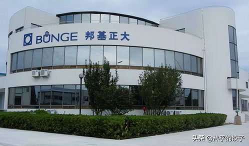胖東來繞開國內油企，以自主采購保障食用油食品安全